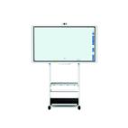 Interactive whiteboard D5520