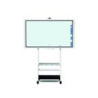 Interactive whiteboard D5520